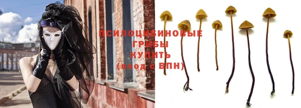 эйфоретик Беломорск