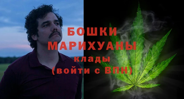 mdpv Белокуриха