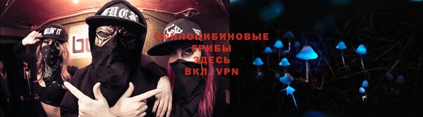 эйфоретик Беломорск