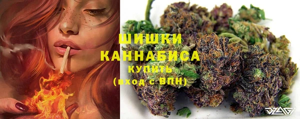 mdpv Белокуриха