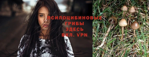 mdpv Белокуриха