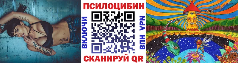 гидра зеркало  Воскресенск  Псилоцибиновые грибы Psilocybe 